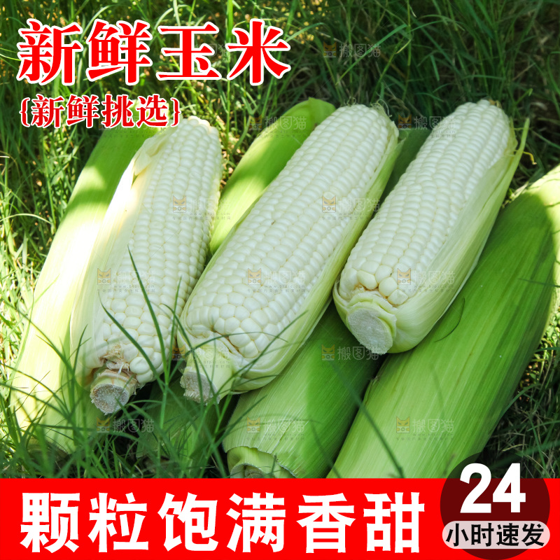 手里拿着牛奶玉米