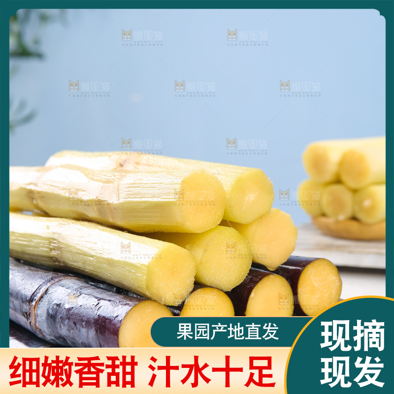 浅底上的黑皮甘蔗