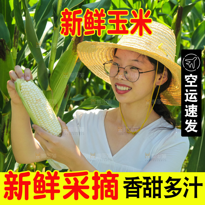 手里拿着牛奶玉米