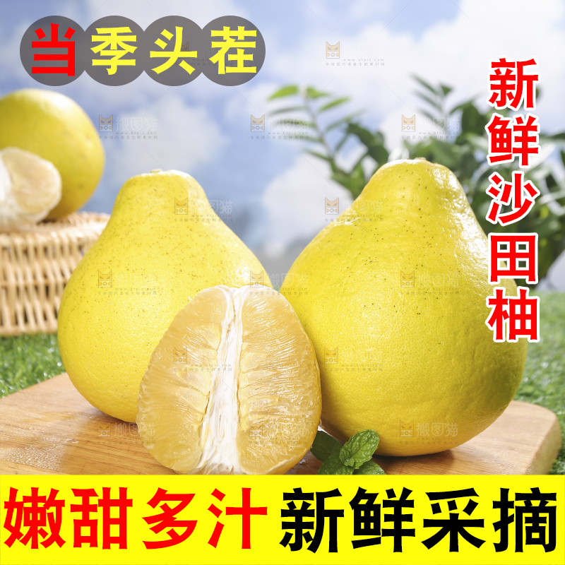 浅底上的沙田柚