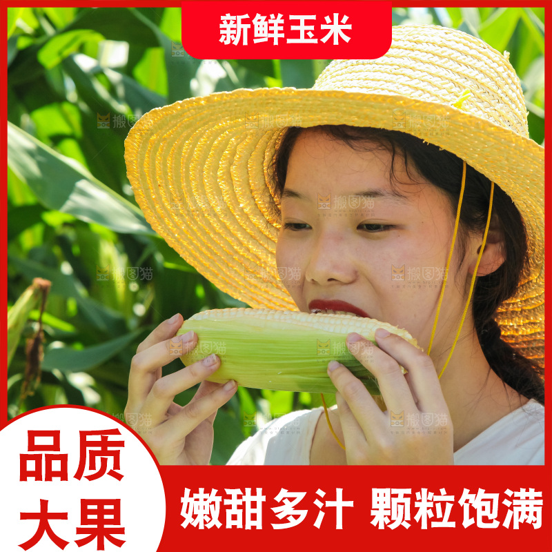 手里拿着牛奶玉米