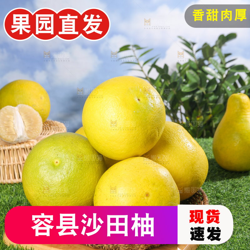 浅底上的沙田柚