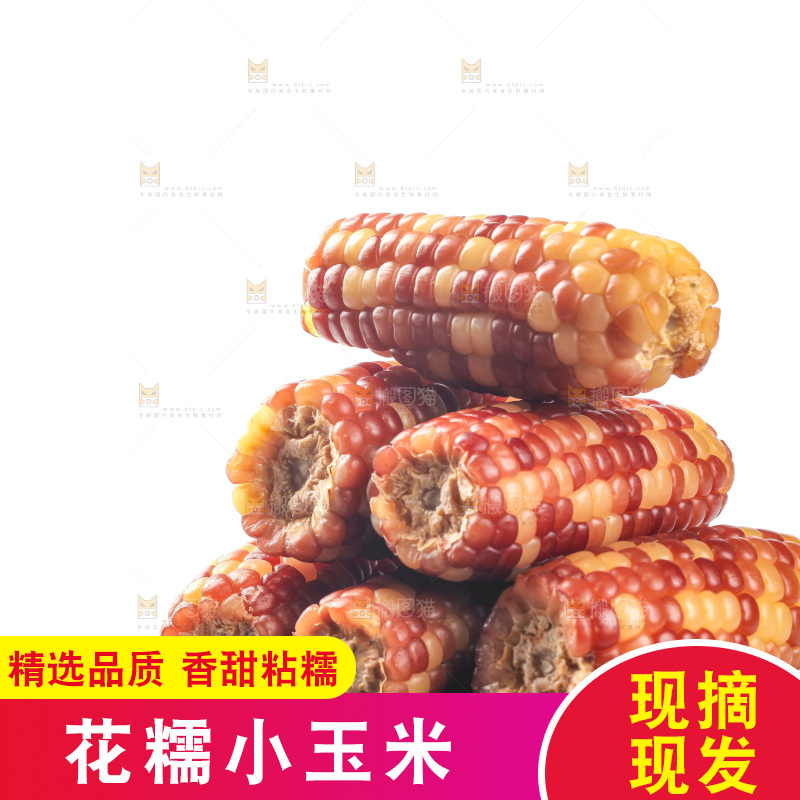 白底上的小花糯玉米
