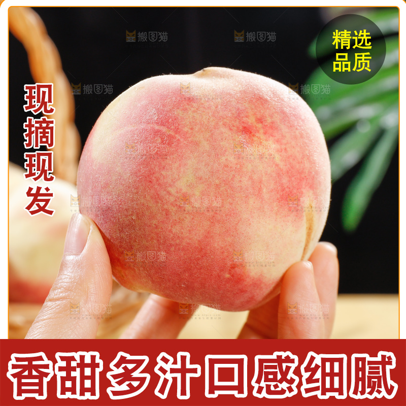 浅底上的金秋红蜜桃