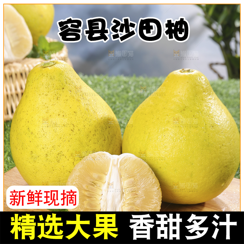 浅底上的沙田柚