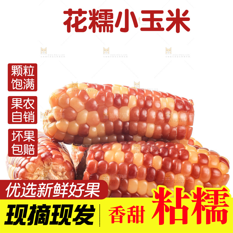 白底上的小花糯玉米