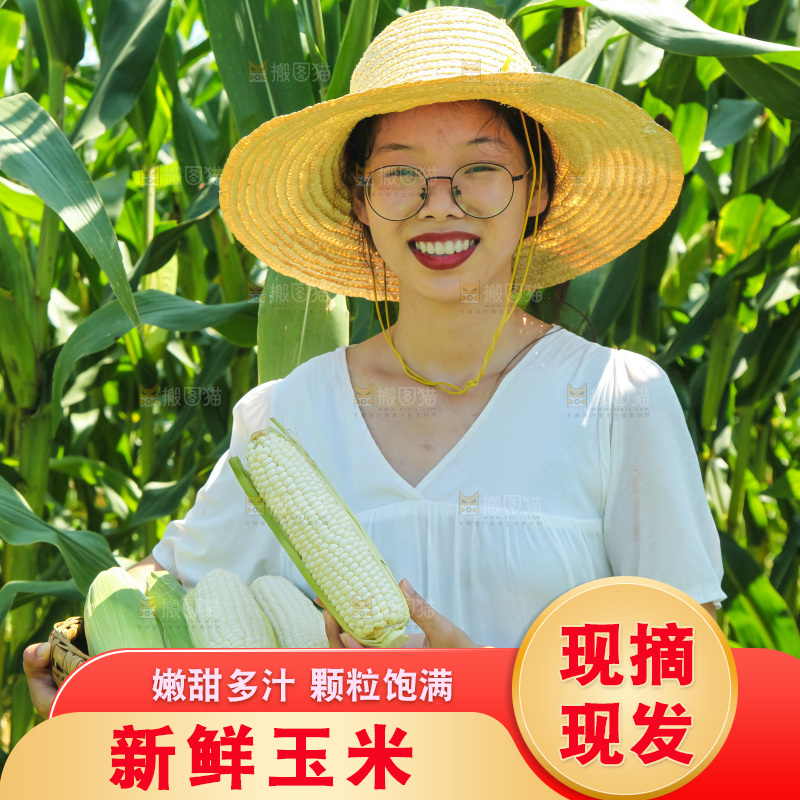 手里拿着牛奶玉米