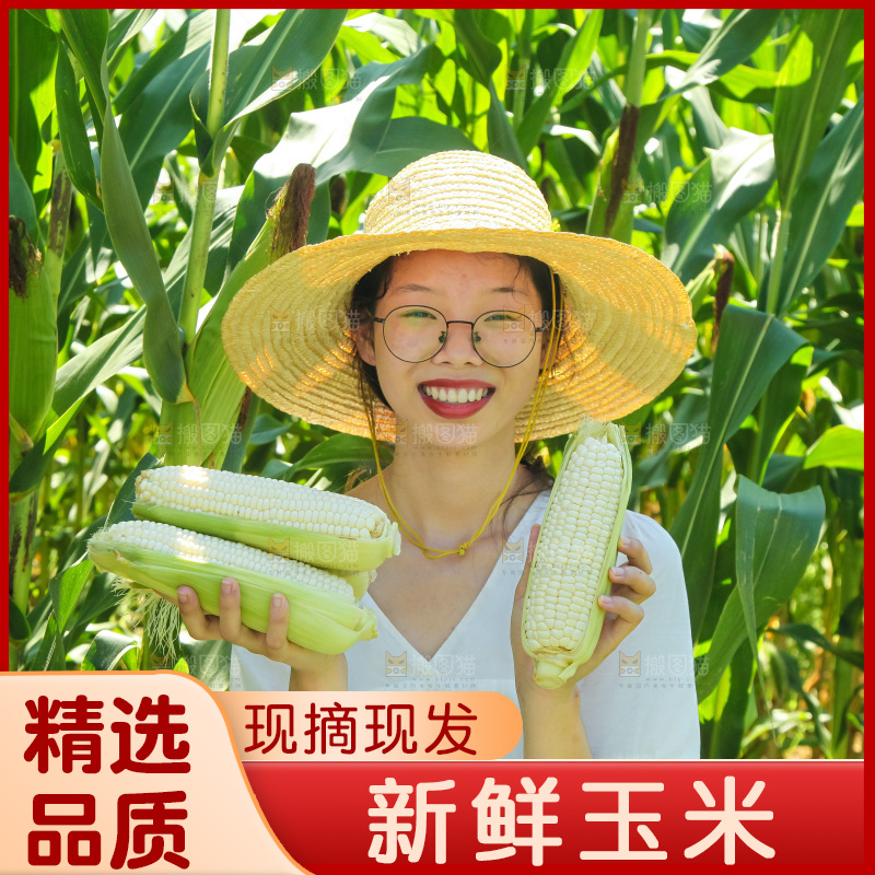 手里拿着牛奶玉米