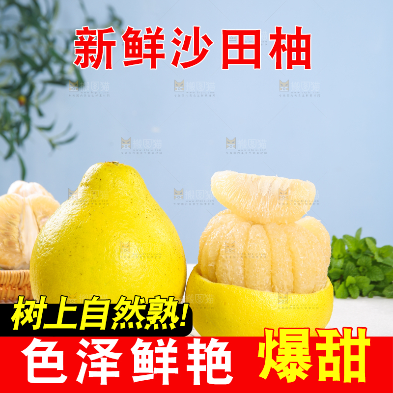 浅底上的沙田柚