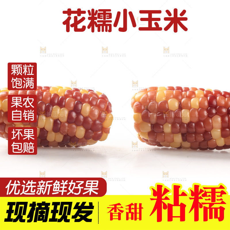 白底上的小花糯玉米