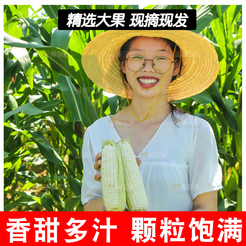 手里拿着牛奶玉米