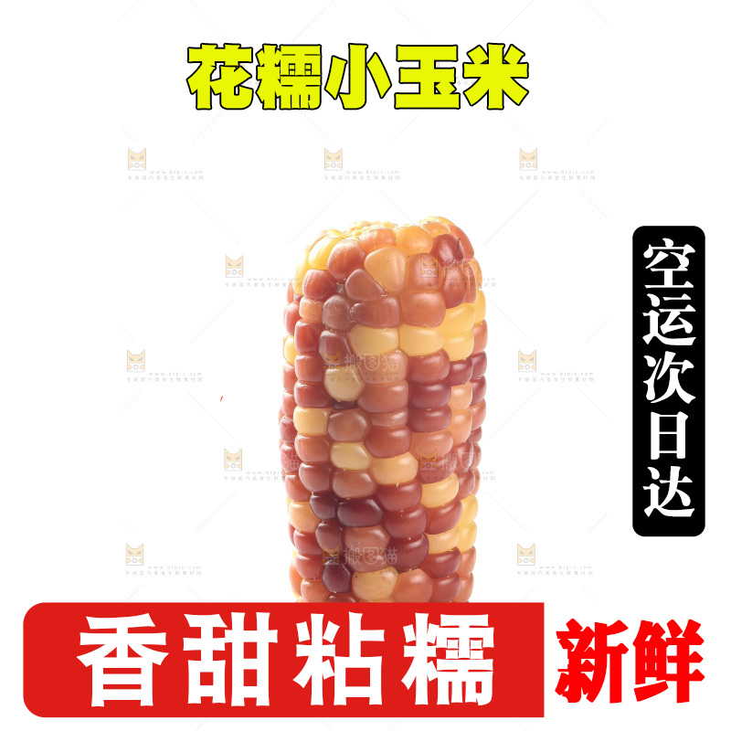 白底上的小花糯玉米