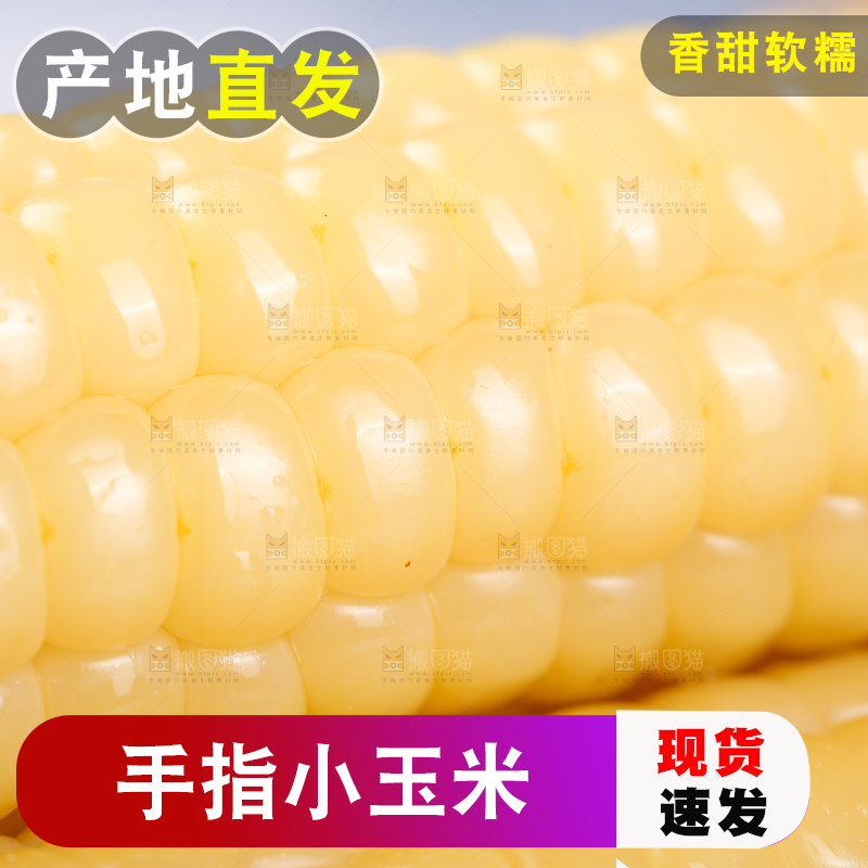 浅底上的手指糯玉米