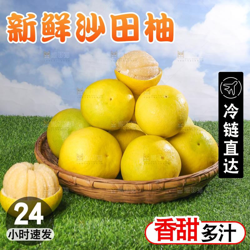 浅底上的沙田柚