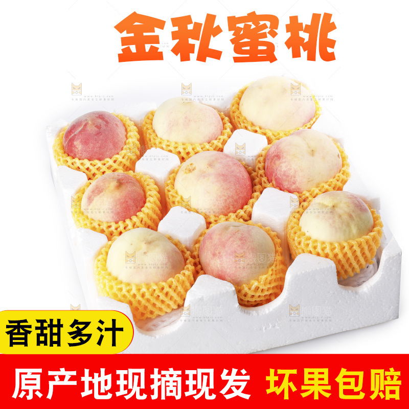 白底上的金秋红蜜桃