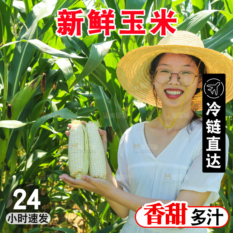 手里拿着牛奶玉米