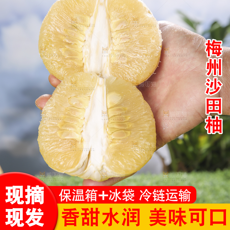 浅底上的沙田柚