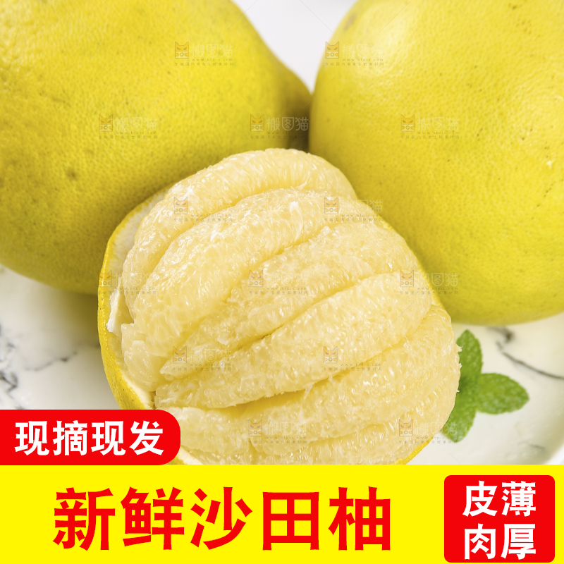 浅底上的沙田柚