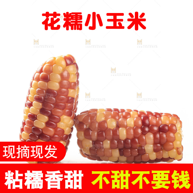 白底上的小花糯玉米