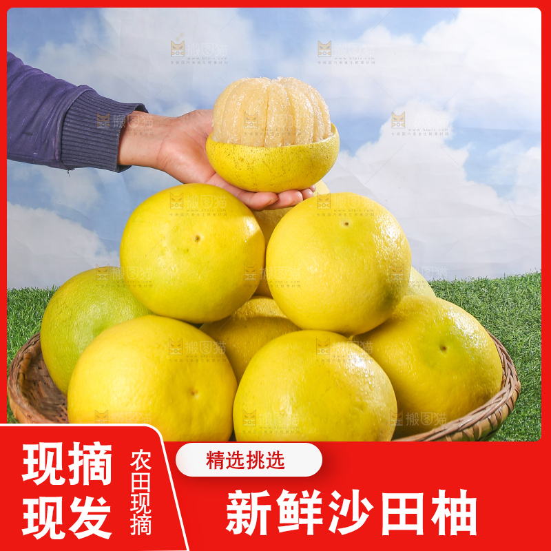 浅底上的沙田柚