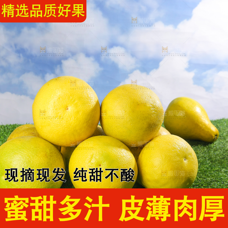 浅底上的沙田柚