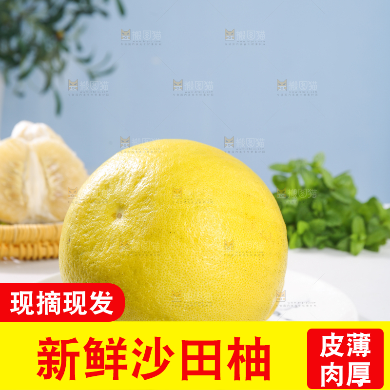 浅底上的沙田柚