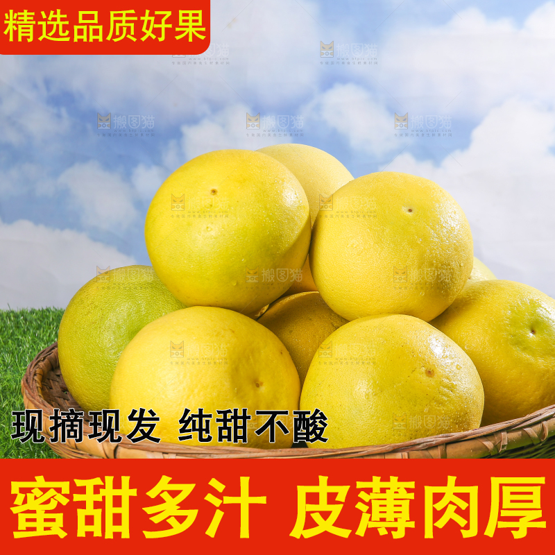浅底上的沙田柚