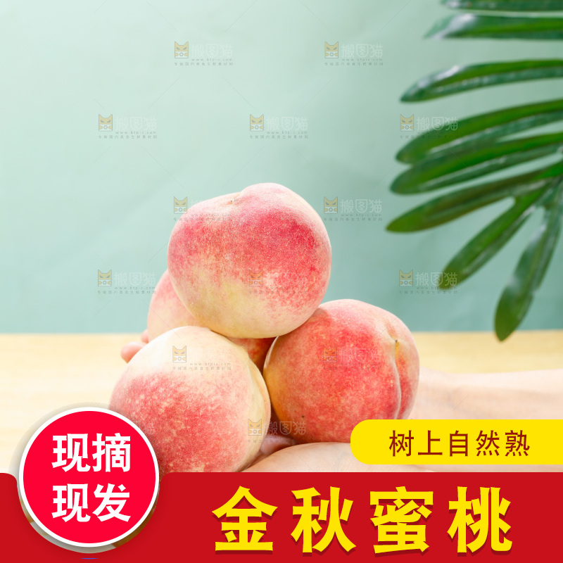 浅底上的金秋红蜜桃