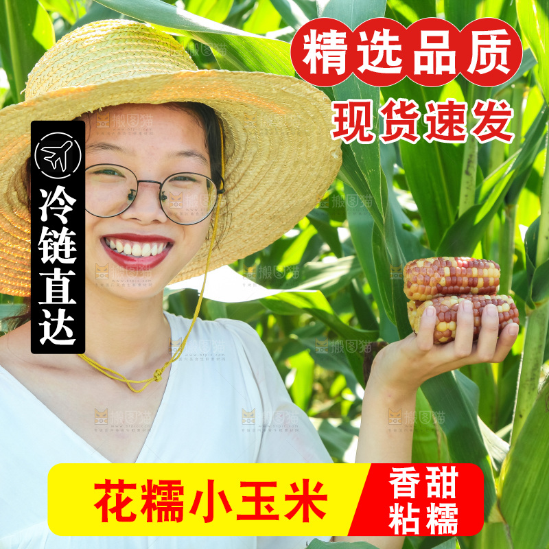 手里拿着小花糯玉米