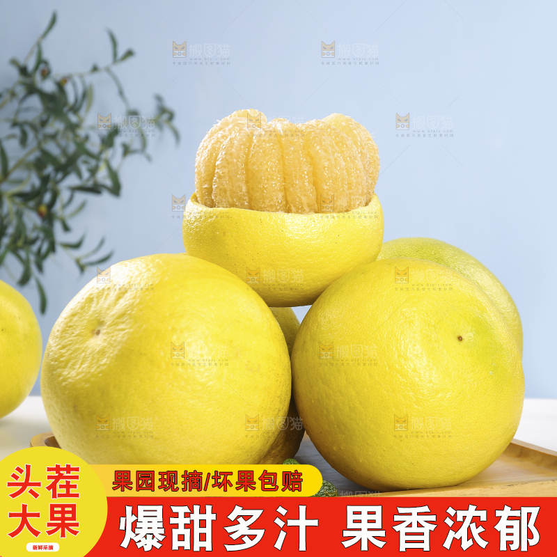 浅底上的沙田柚