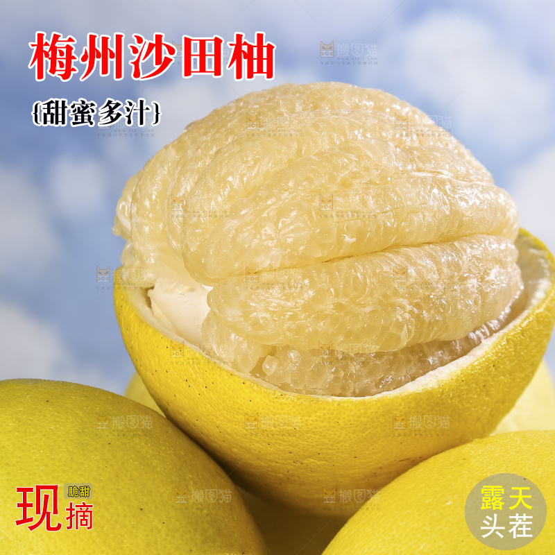 浅底上的沙田柚