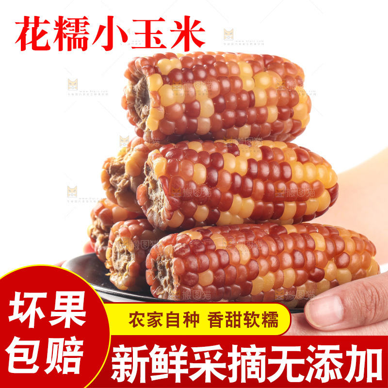白底上的小花糯玉米