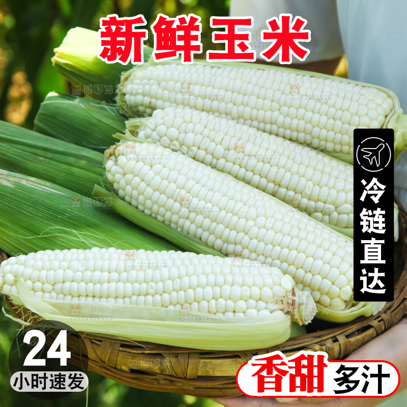 手里拿着牛奶玉米