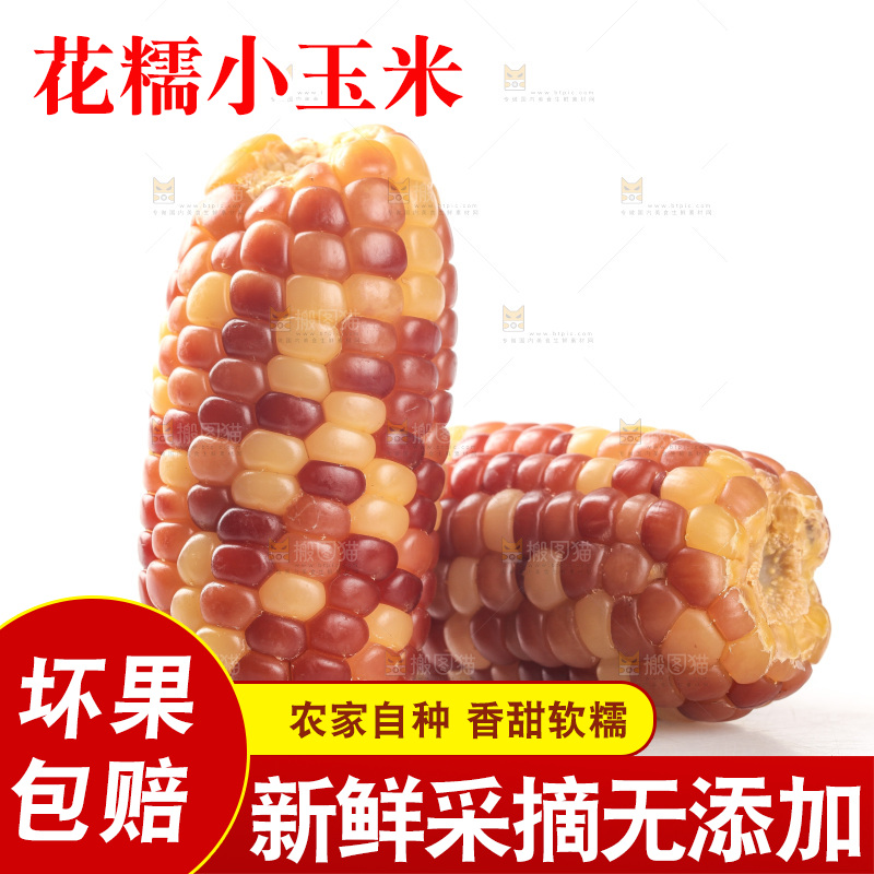 白底上的小花糯玉米