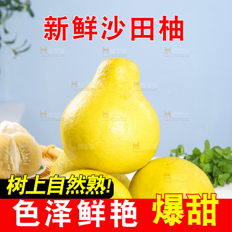 浅底上的沙田柚