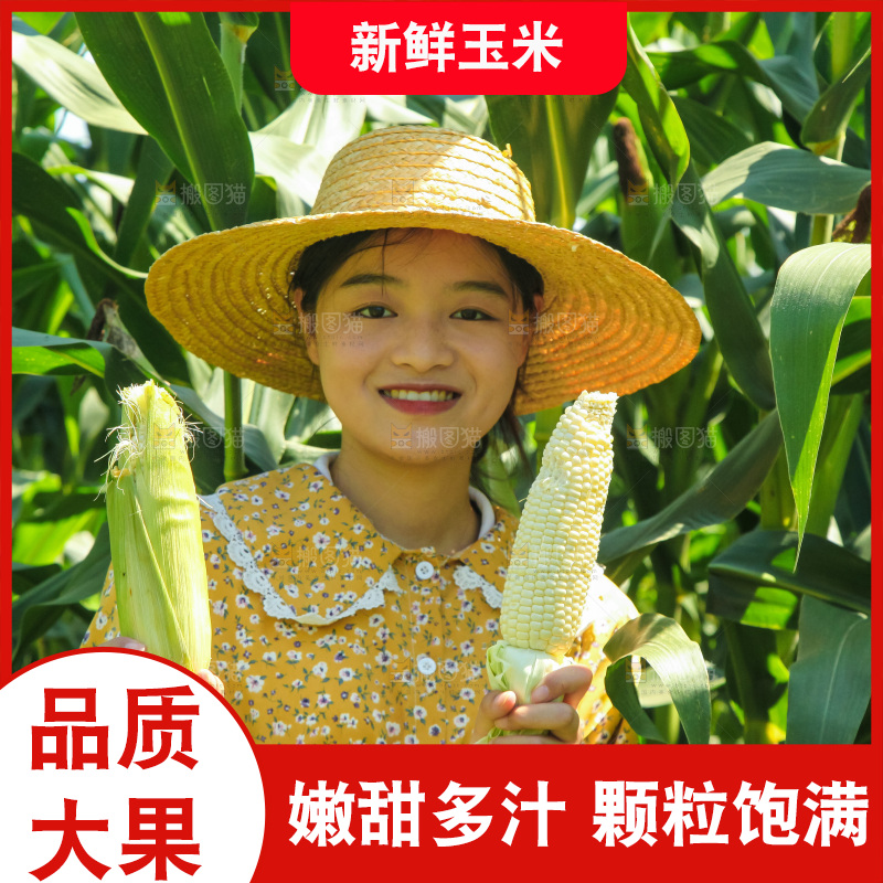 手里拿着牛奶玉米