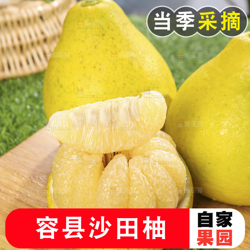 浅底上的沙田柚