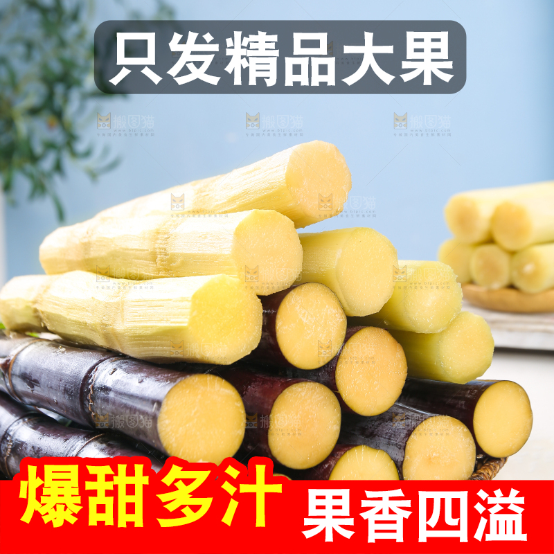 浅底上的黑皮甘蔗