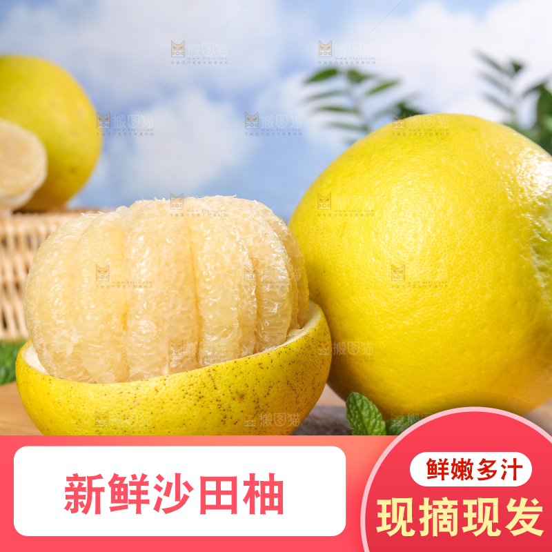 浅底上的沙田柚