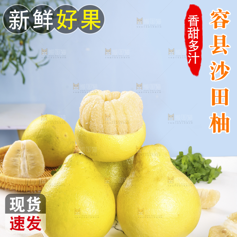 浅底上的沙田柚