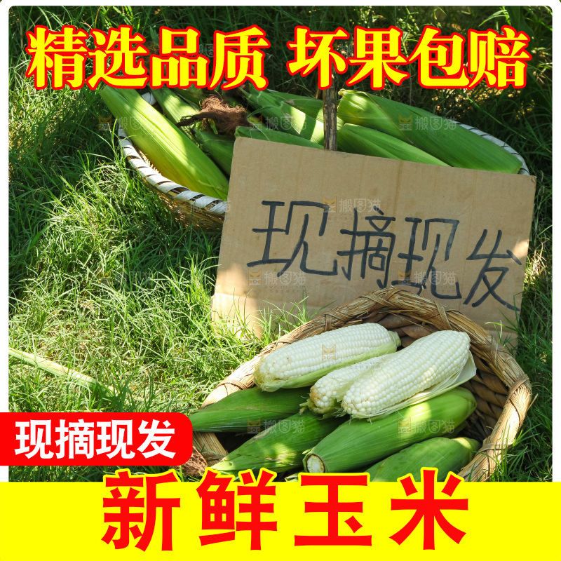 手里拿着牛奶玉米