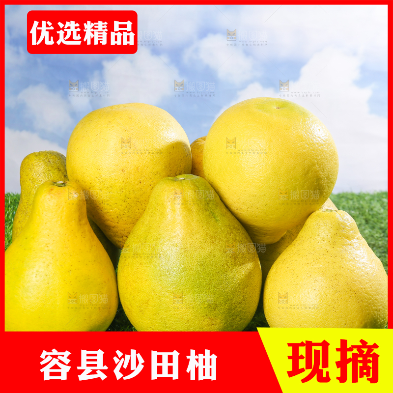 浅底上的沙田柚