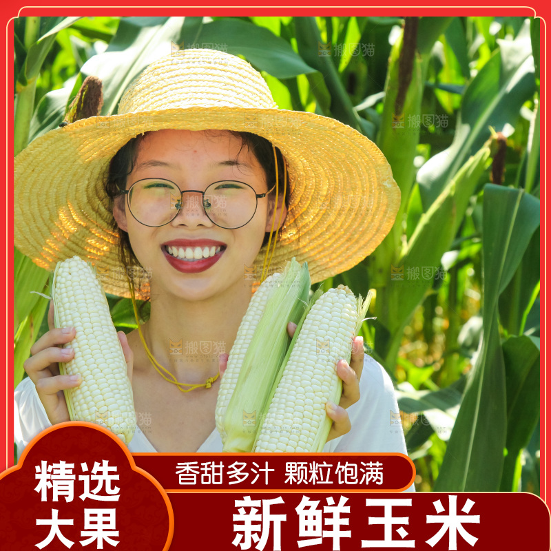 手里拿着牛奶玉米
