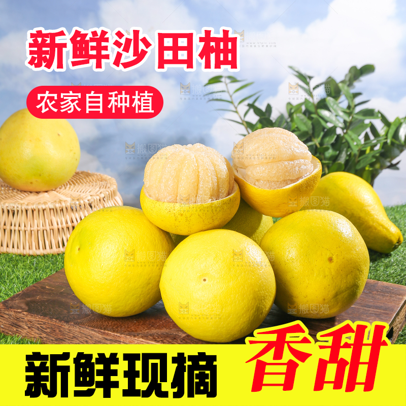 浅底上的沙田柚