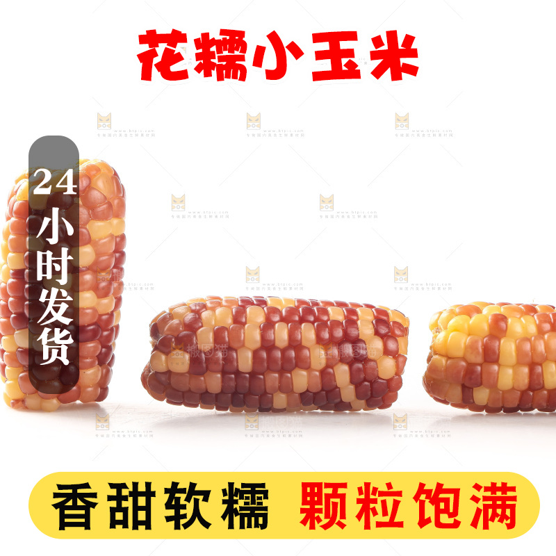 白底上的小花糯玉米