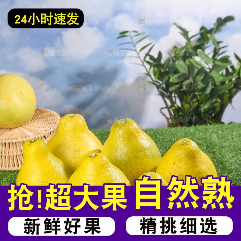 浅底上的沙田柚