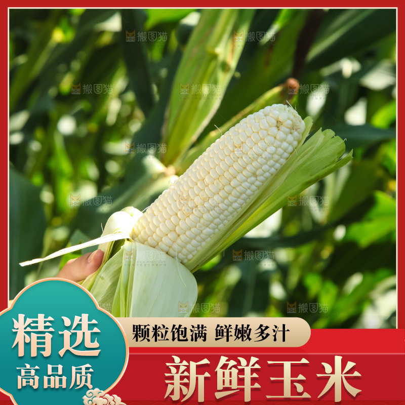 手里拿着牛奶玉米