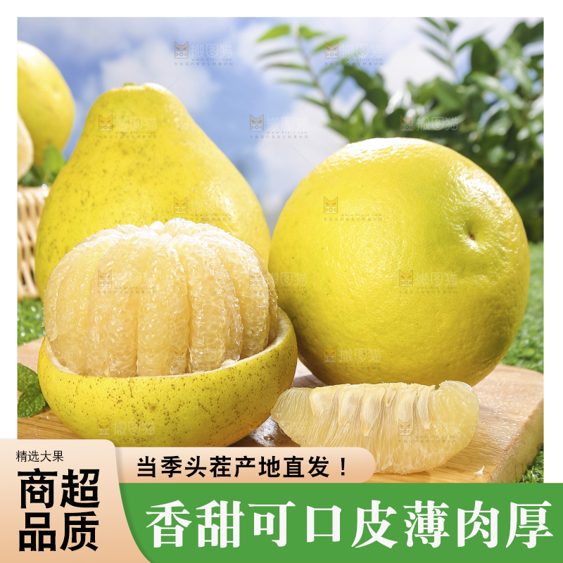 浅底上的沙田柚
