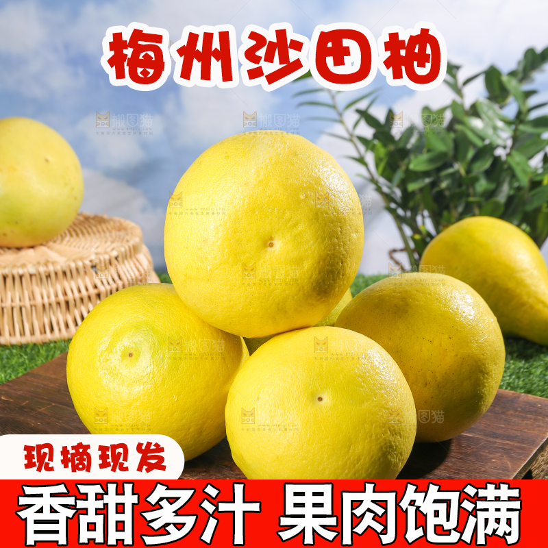 浅底上的沙田柚