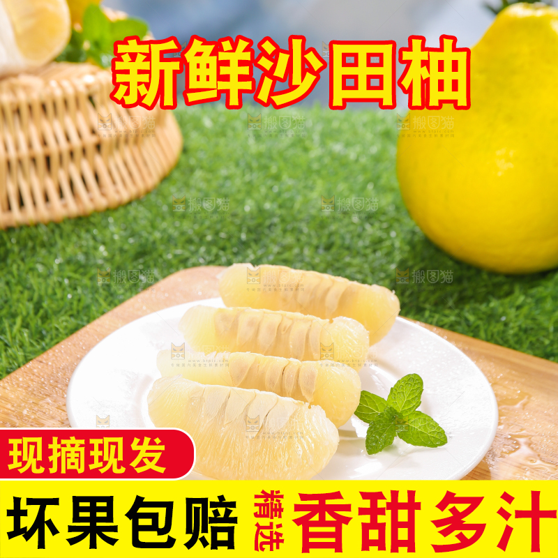浅底上的沙田柚